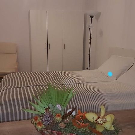 Bsv Accomodation Timisoara Bagian luar foto