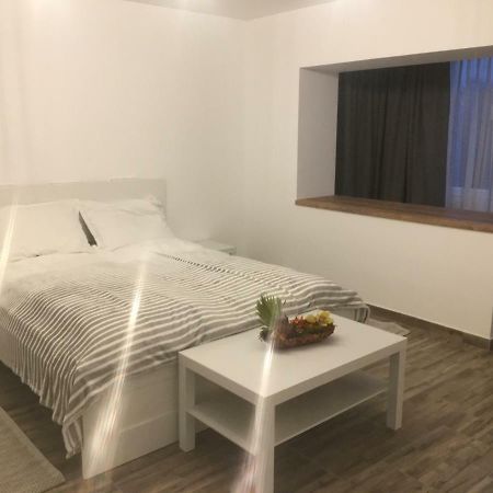 Bsv Accomodation Timisoara Bagian luar foto