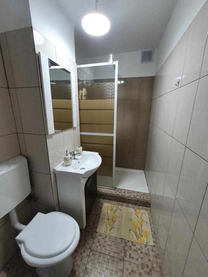 Bsv Accomodation Timisoara Bagian luar foto