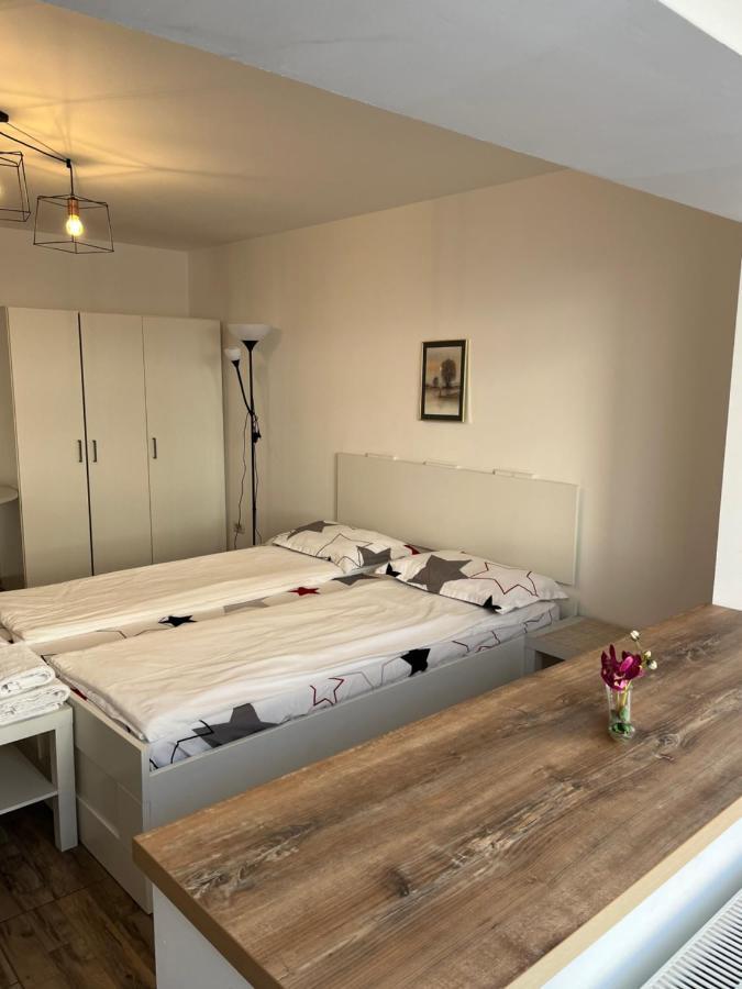 Bsv Accomodation Timisoara Bagian luar foto