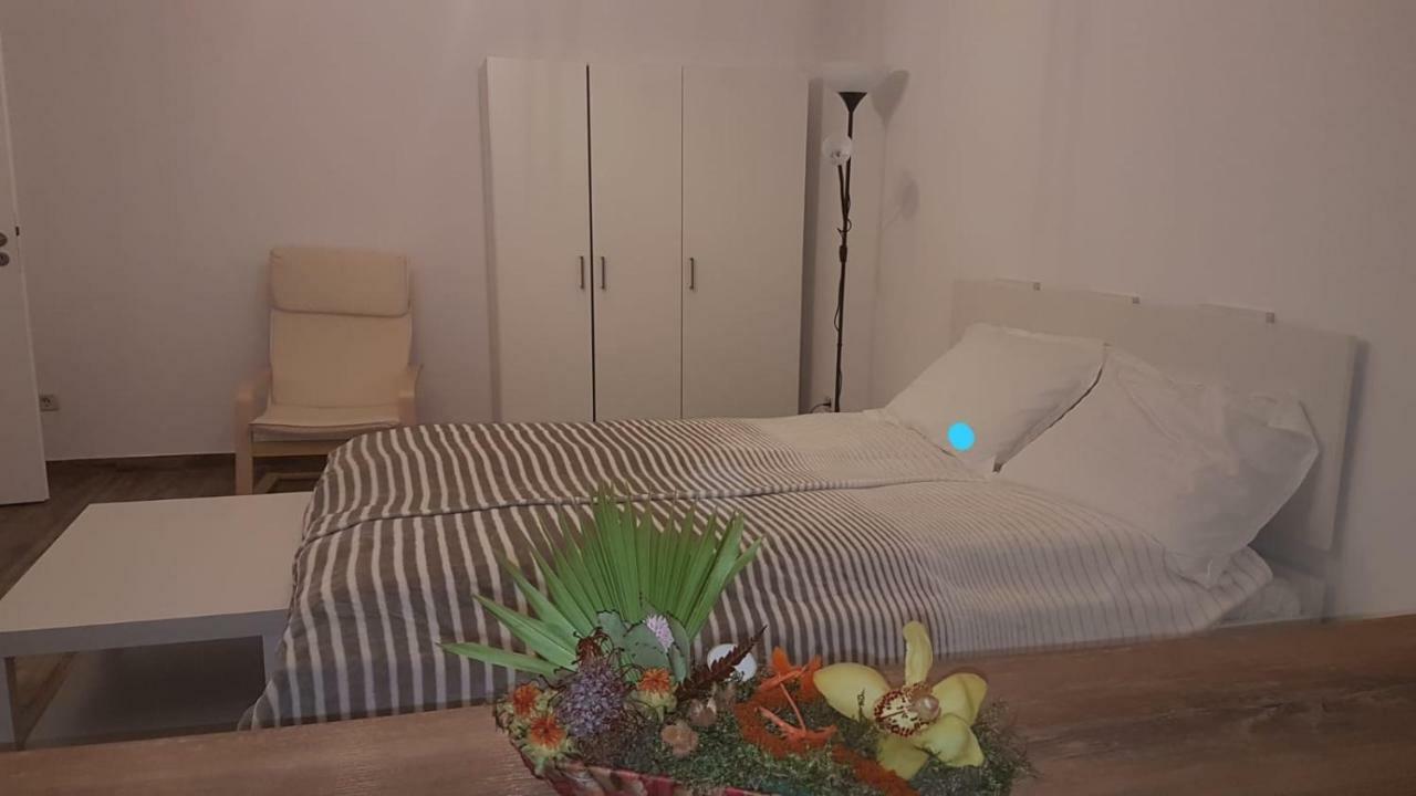 Bsv Accomodation Timisoara Bagian luar foto