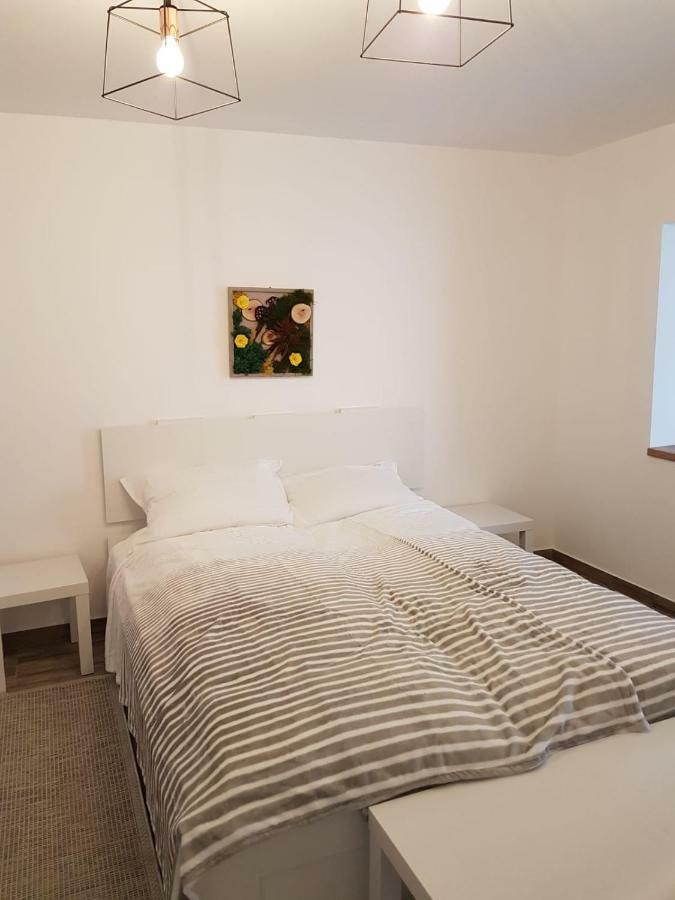 Bsv Accomodation Timisoara Bagian luar foto