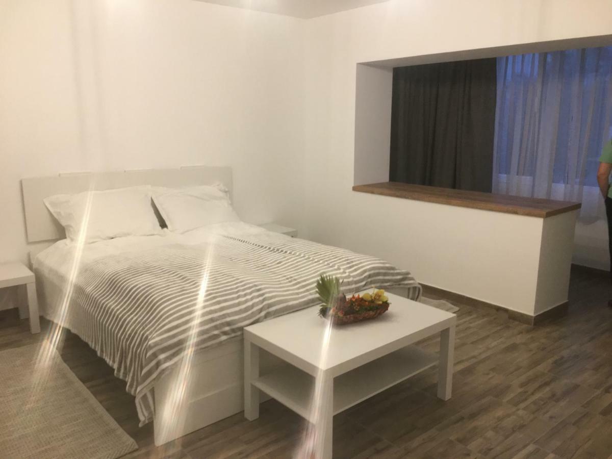 Bsv Accomodation Timisoara Bagian luar foto