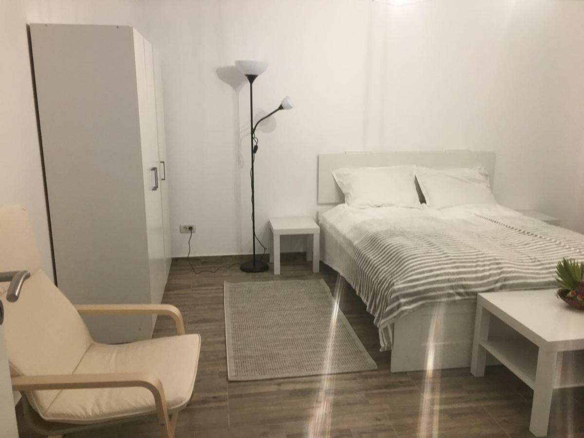 Bsv Accomodation Timisoara Bagian luar foto