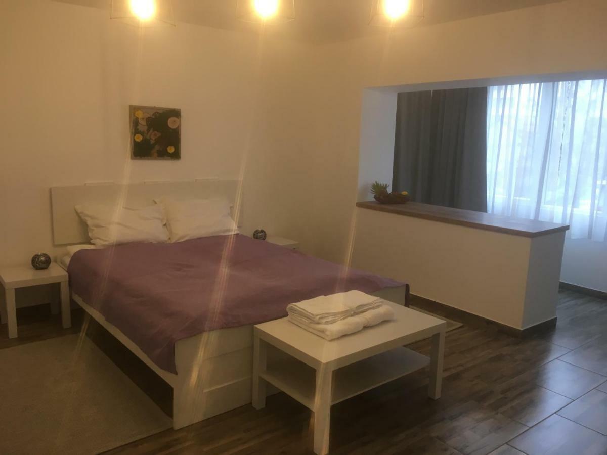 Bsv Accomodation Timisoara Bagian luar foto